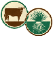 National Cattlemen's Beef Association