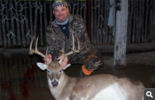 Whitetail Deer