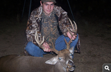 Whitetail Deer