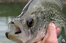 Fishing