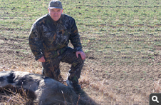 Feral Hog