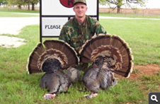 Spring Turkey