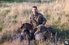 Spring Turkey