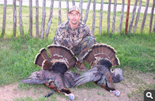 Spring Turkey
