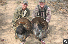 Spring Turkey