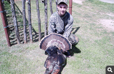 Spring Turkey