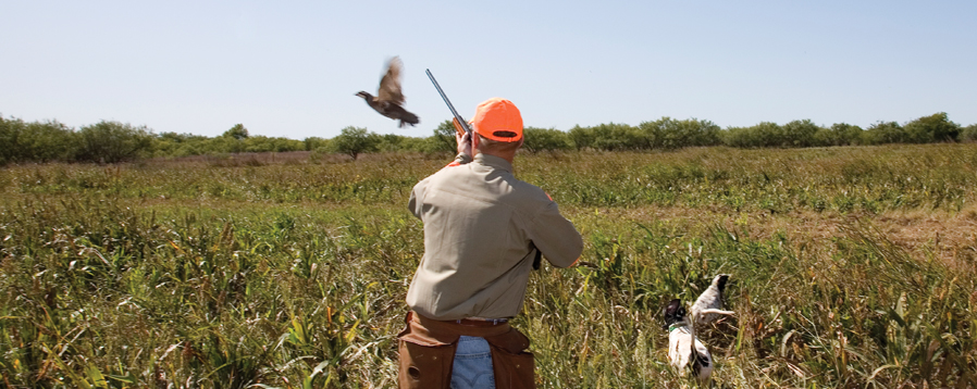 Wingshooting
